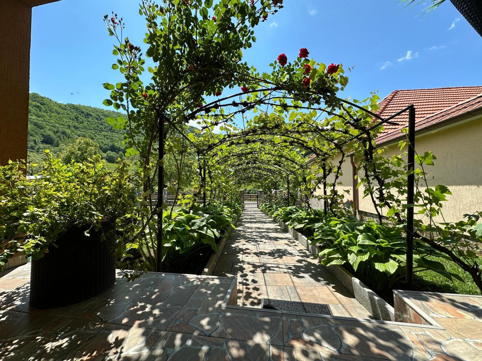 Hotel Casa Antonia à Chiscau Extérieur photo